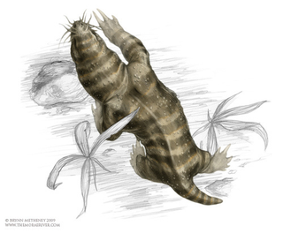 Illustration for article titled Gigantic Fleas and Killer Fish Wait on an Alien World